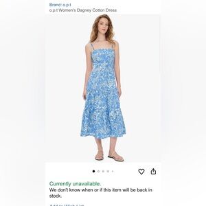 Floral Blue and White Maxi Dress